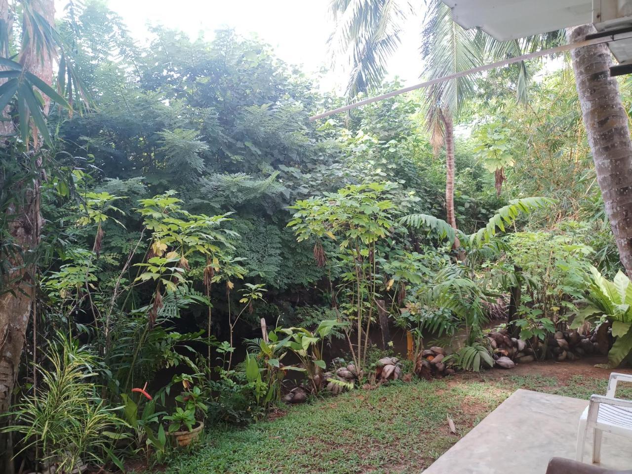 Lakvilla Hikkaduwa Esterno foto